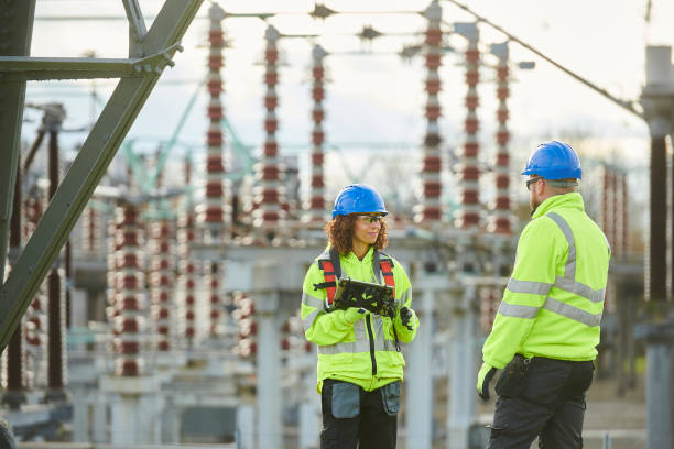 Best Electric Panel Repair  in Timberlane, IL